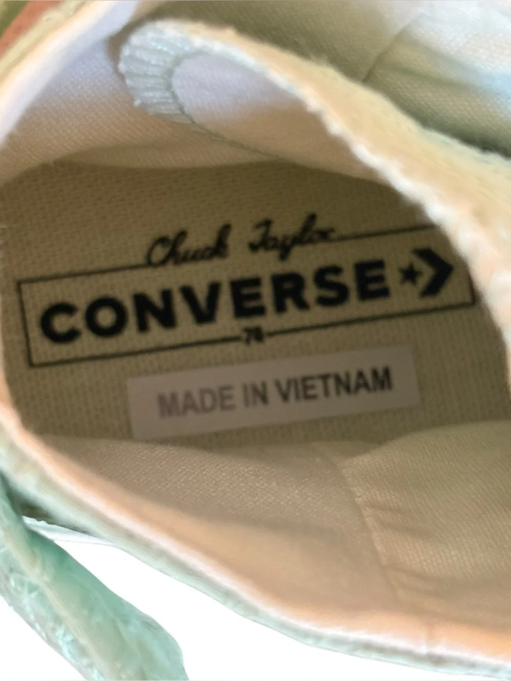 Converse Chuck 70 Bow Green Sticky Aloe Embroidered Floral Women Size 7 NWOB